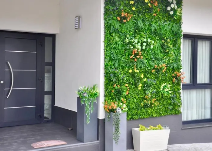 Coccoa Boutique Guest house