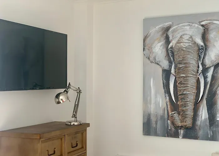 Coccoa Boutique Guest house