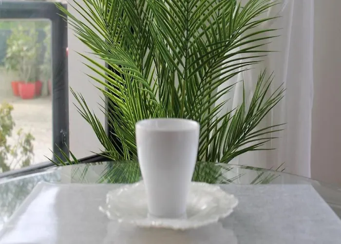 Coccoa Boutique Guest house